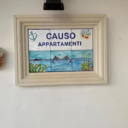 Causo